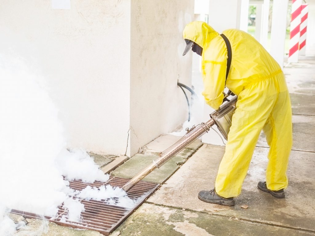 The Importance of Effective Mold Removal in Brooklyn
